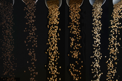 Falling Malt